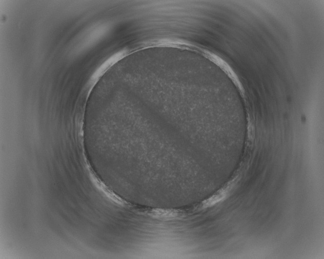 X0000081430954200702021649