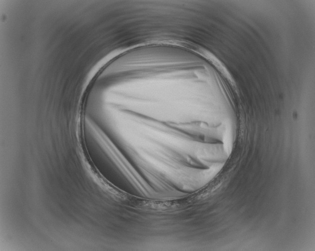 X0000081430955200702021649