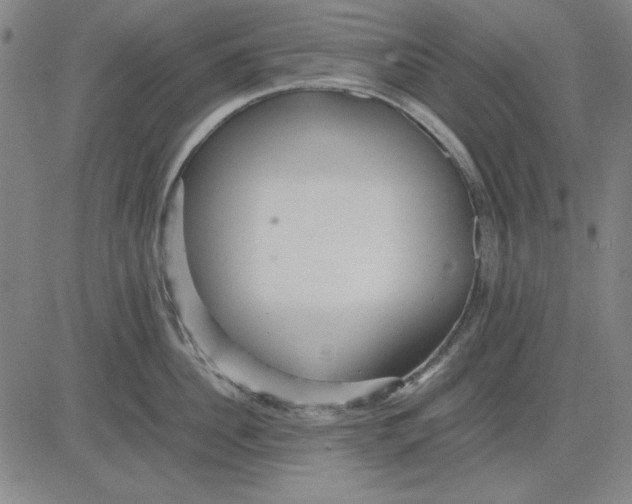 X0000081430956200702021649