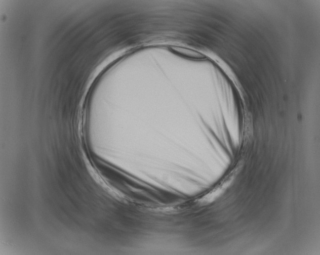 X0000081430957200702021649