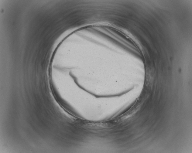 X0000081430959200702021649