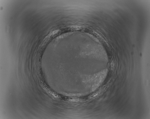 X0000081430961200702021648