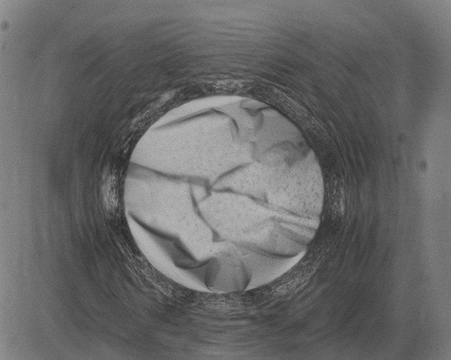 X0000081430962200702021648