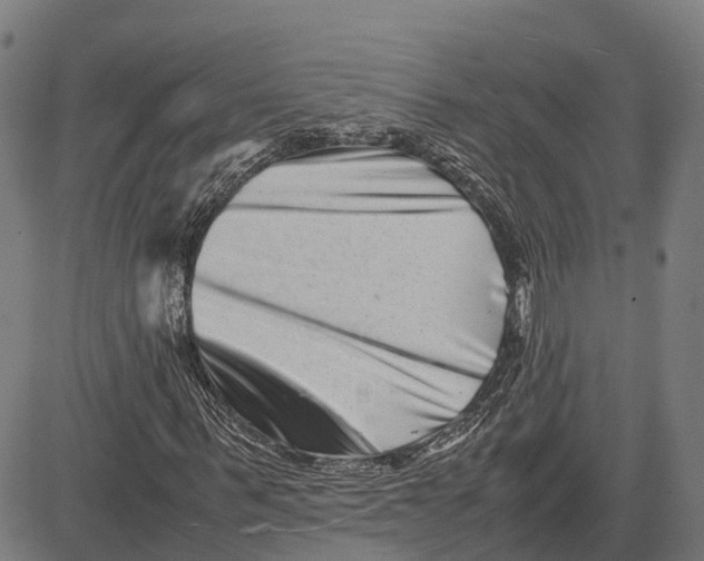 X0000081430963200702021648