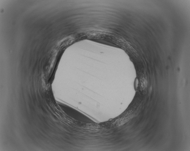 X0000081430964200702021648