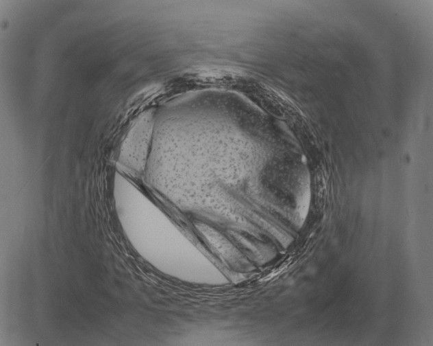 X0000081430965200702021648