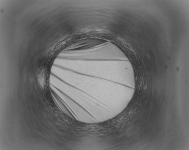 X0000081430966200702021648