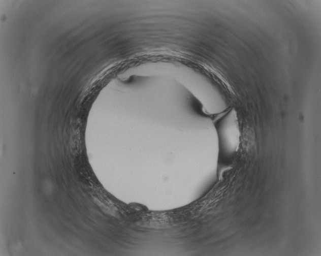 X0000081430968200702021648