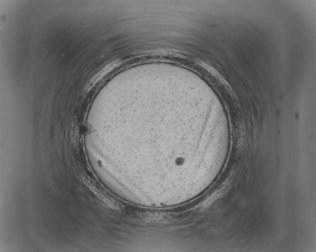 X0000081430969200702021648