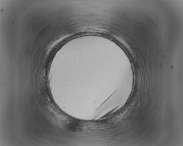 X0000081430971200702021648