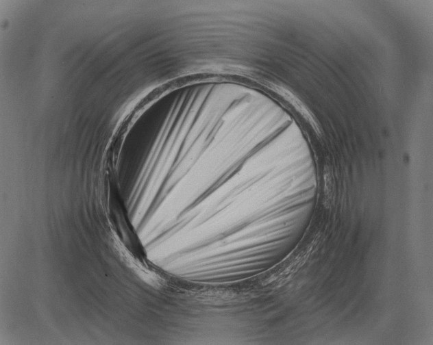 X0000081430972200702021648