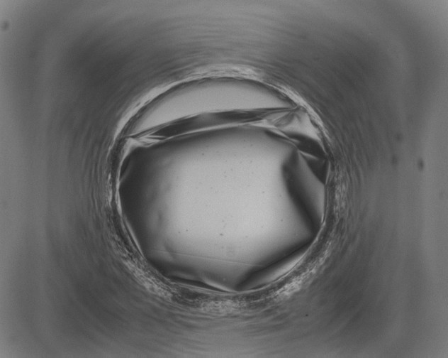 X0000081430973200702021648