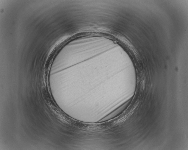 X0000081430974200702021648