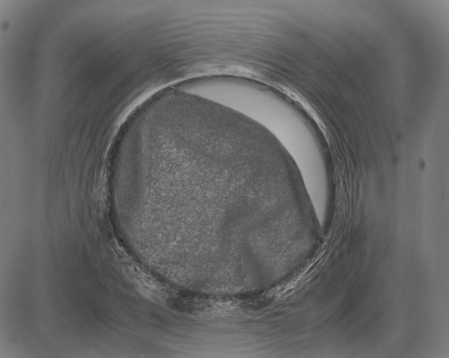 X0000081430975200702021648