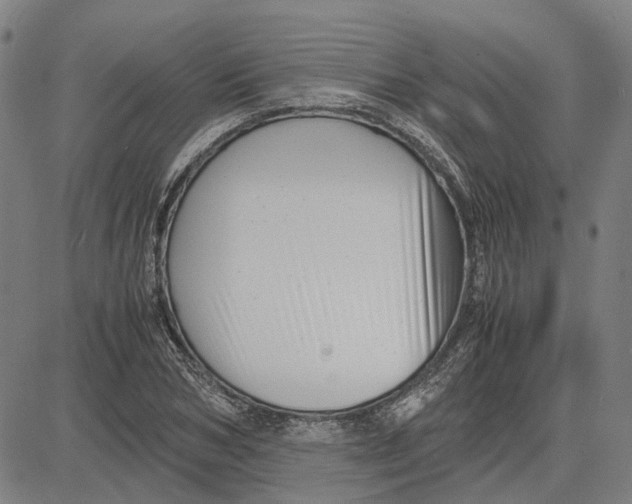 X0000081430978200702021648