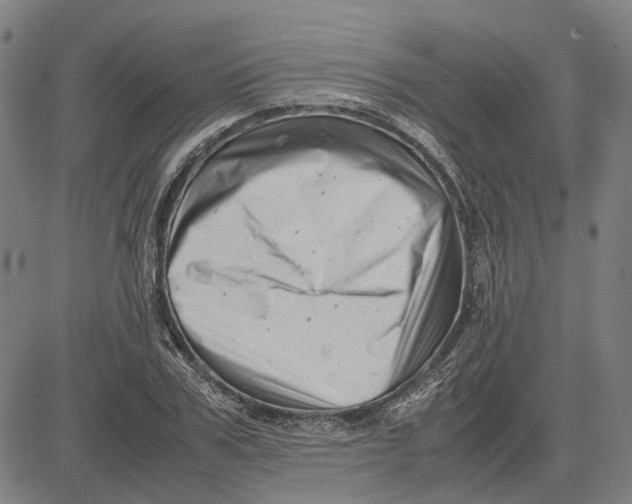 X0000081430979200702021648