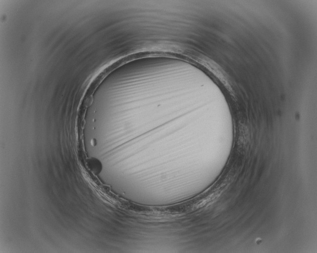 X0000081430980200702021648