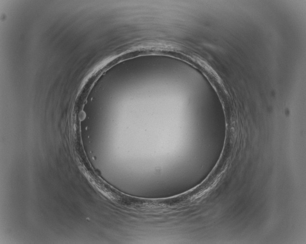 X0000081430981200702021648