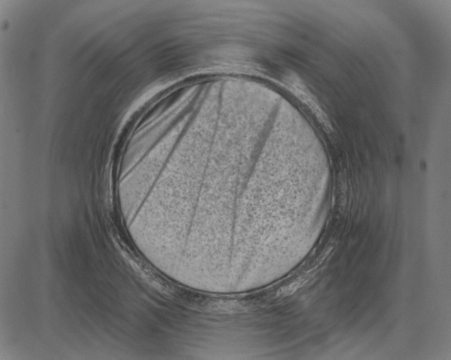 X0000081430982200702021648