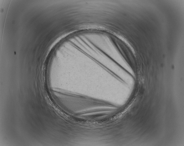 X0000081430983200702021648