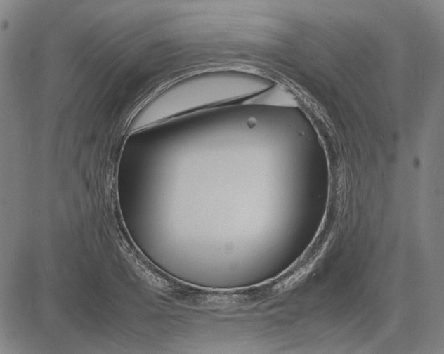 X0000081430985200702021648