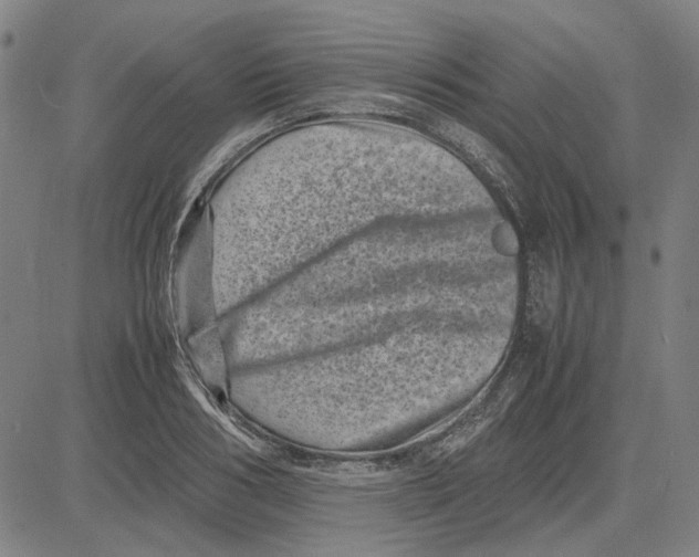 X0000081430986200702021648