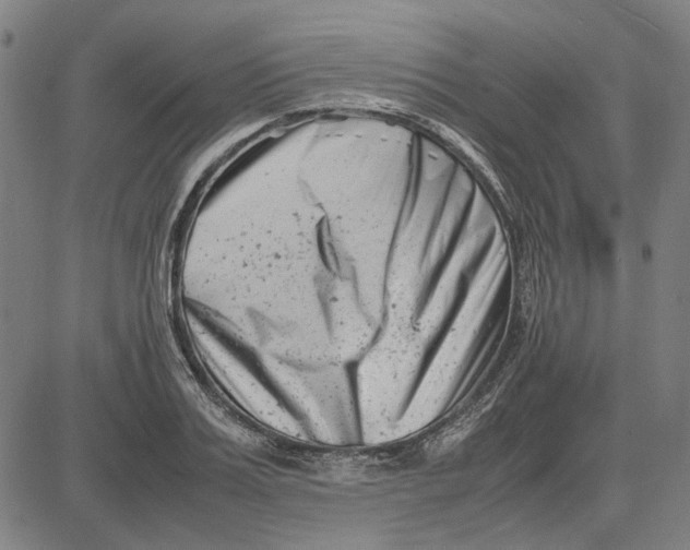 X0000081430987200702021648