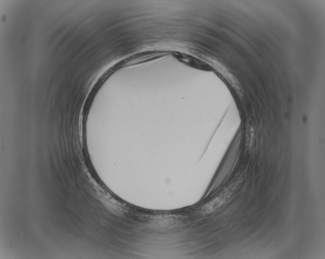 X0000081430988200702021648