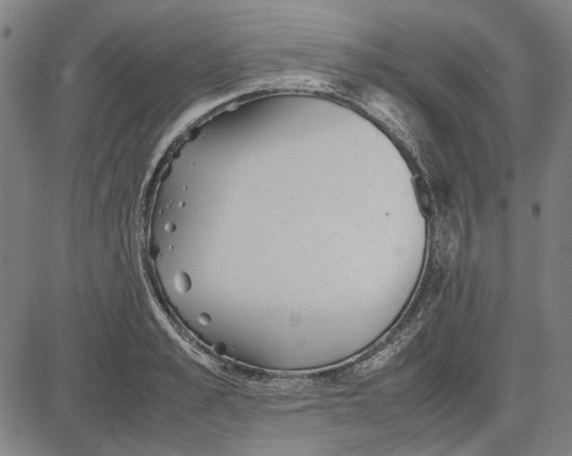 X0000081430989200702021648