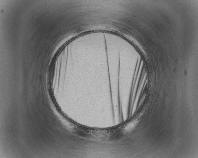 X0000081430991200702021648