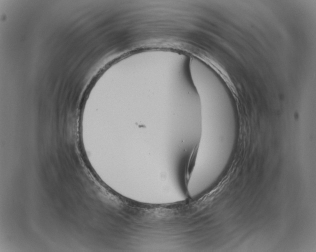 X0000081430992200702021648