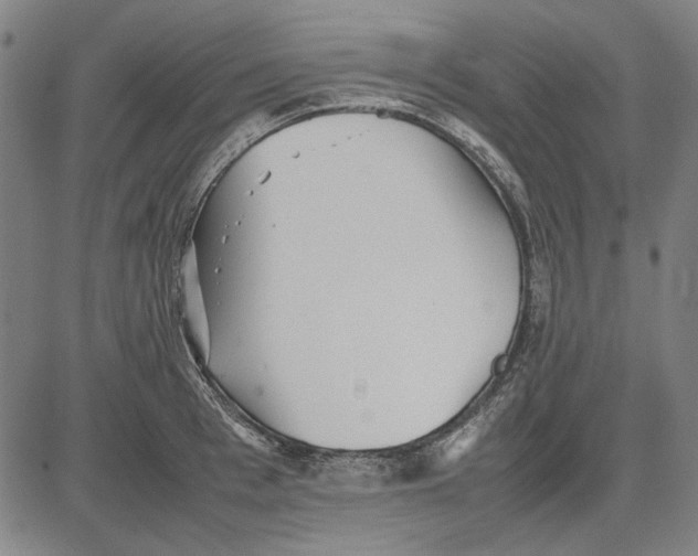 X0000081430993200702021648