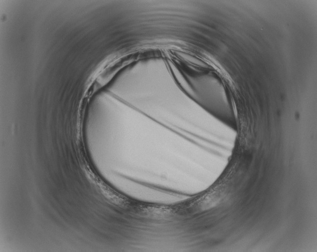 X0000081430994200702021648