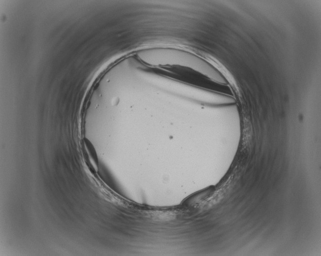 X0000081430996200702021648