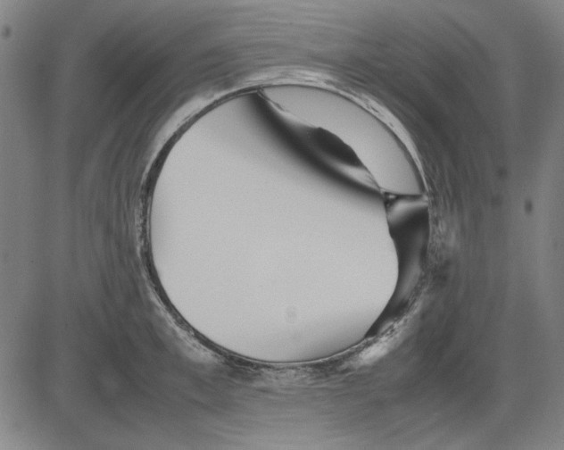 X0000081430997200702021648