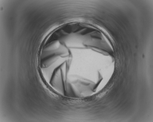 X0000081430999200702021648