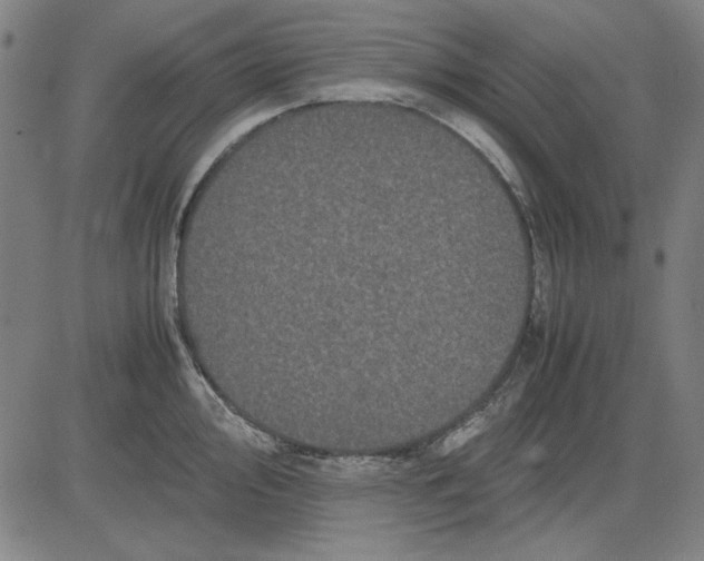 X0000081431000200702021648