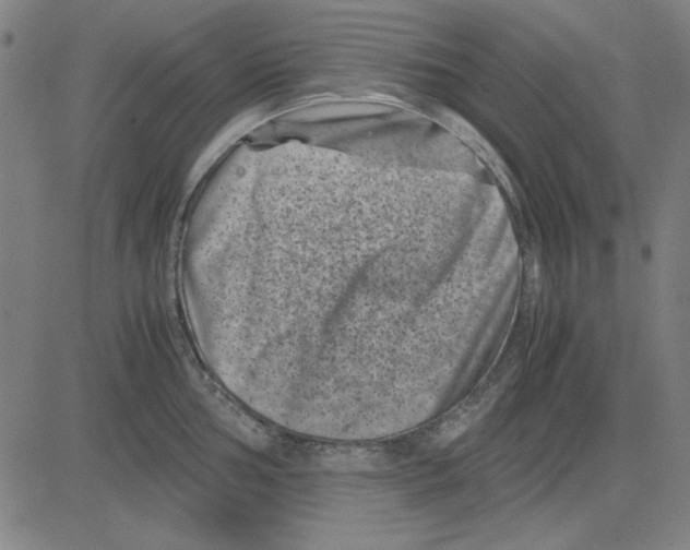 X0000081431002200702021648