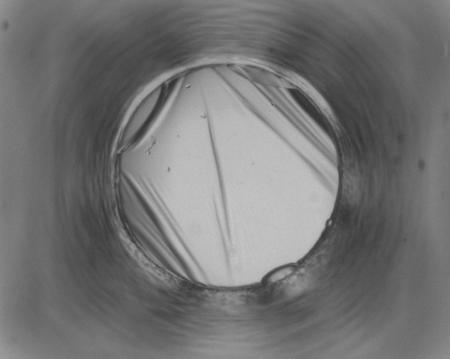 X0000081431004200702021648