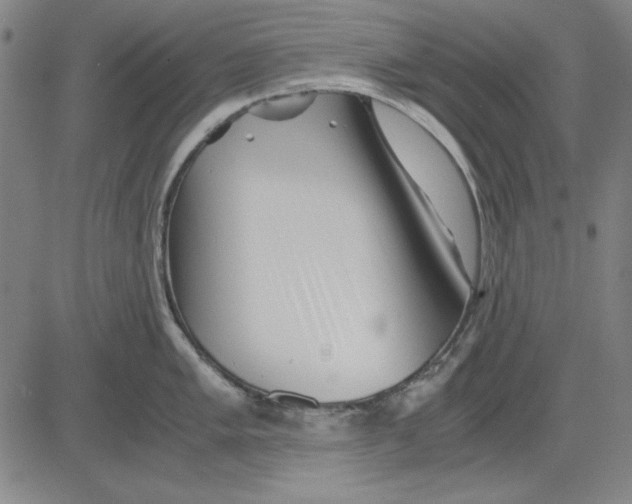 X0000081431005200702021648