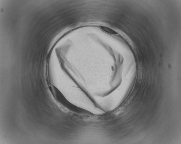 X0000081431006200702021648