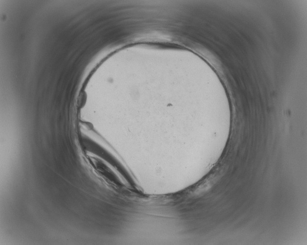 X0000081431008200702021648