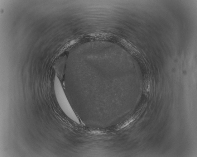 X0000081431010200702021647