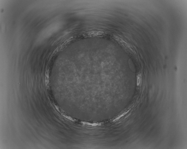 X0000081431011200702021647