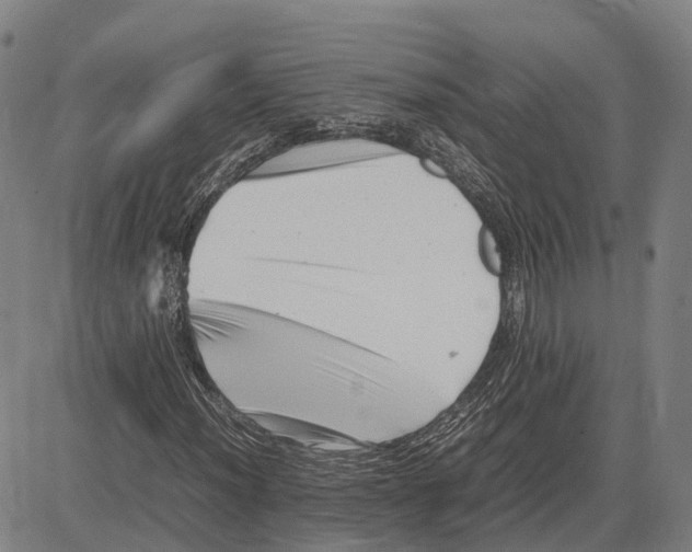 X0000081431012200702021647