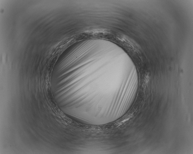 X0000081431014200702021647