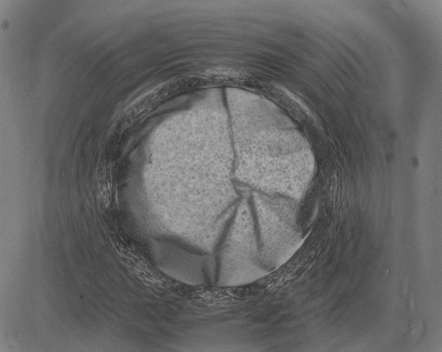 X0000081431015200702021647