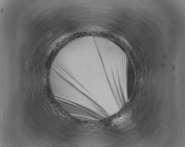 X0000081431016200702021647