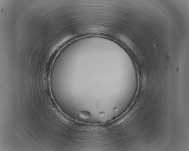 X0000081431018200702021647