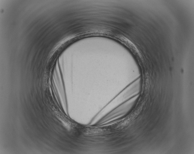 X0000081431019200702021647